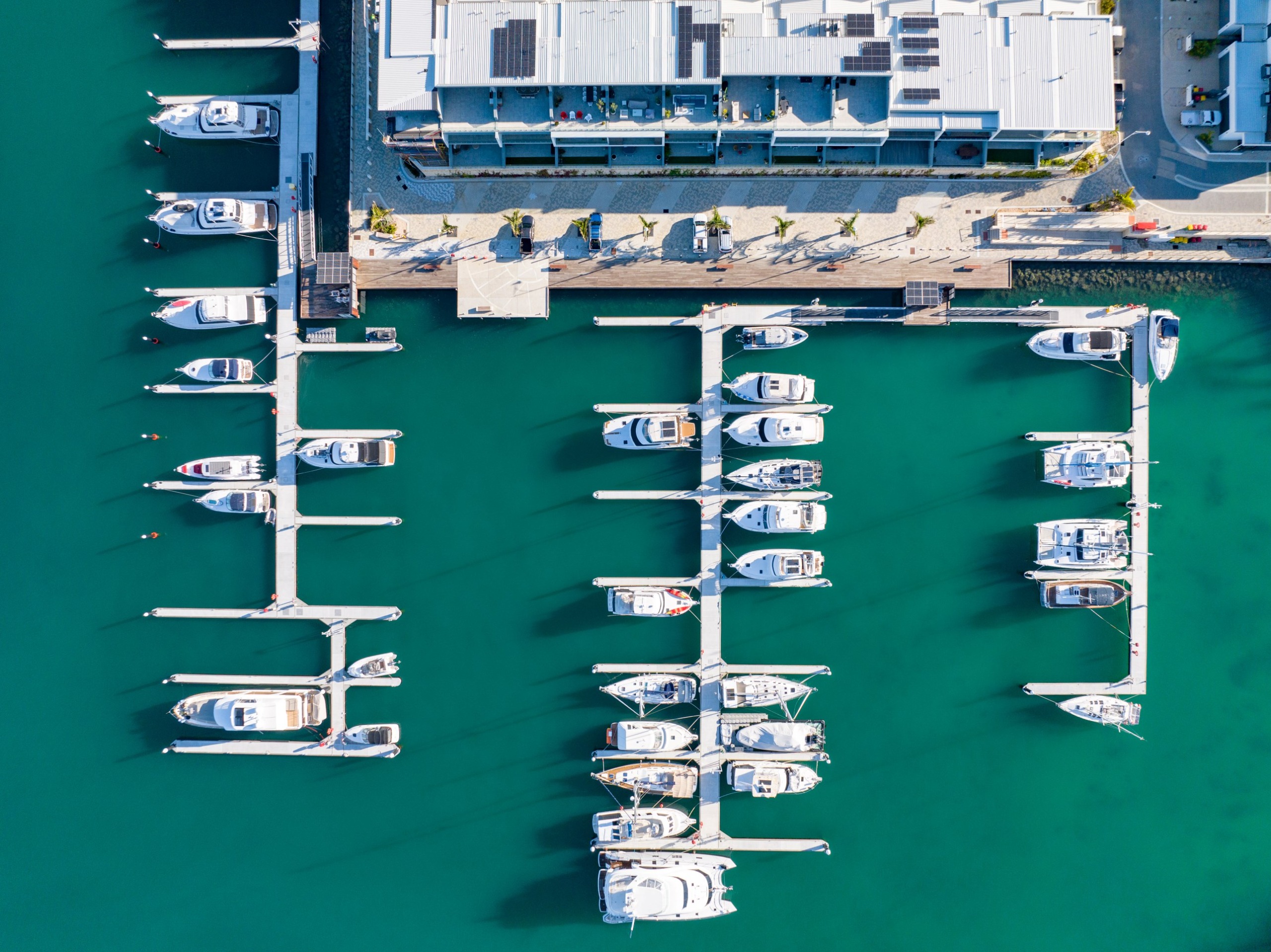 Boats in a marina